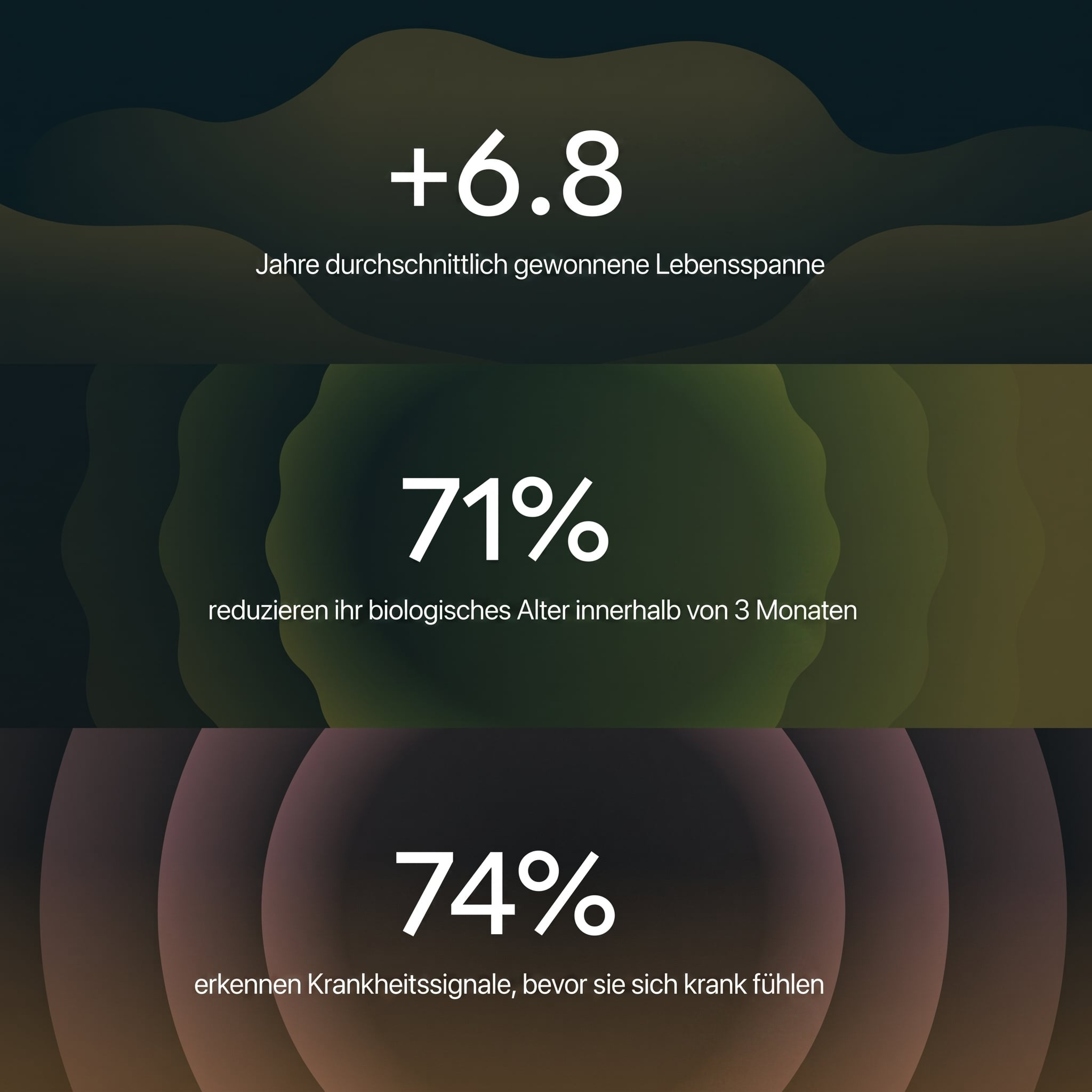 Hume Body Check Marketinggrafik