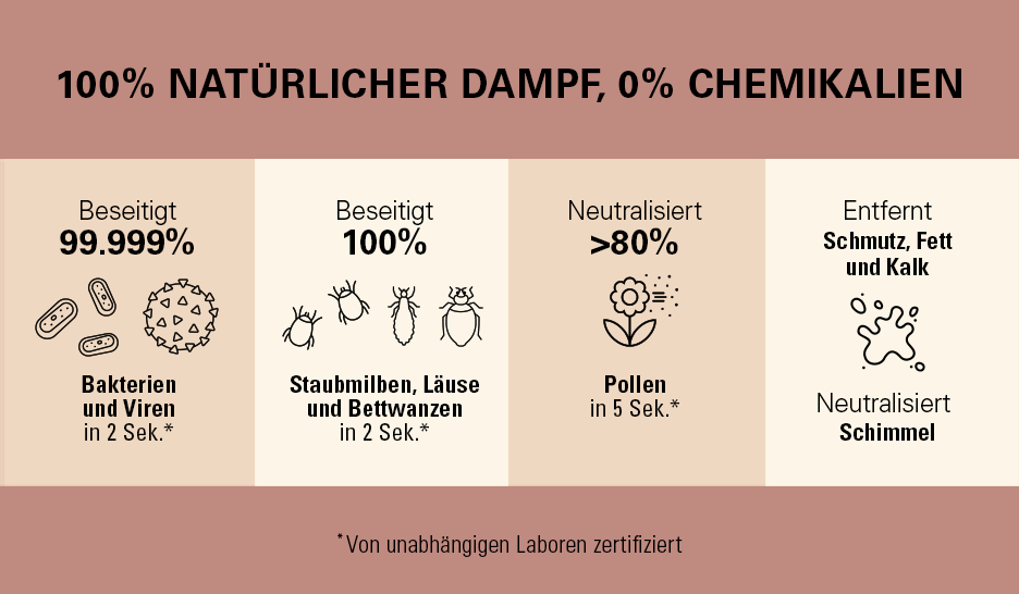 Laurastar Aura in einer Dampfreinigungsszene