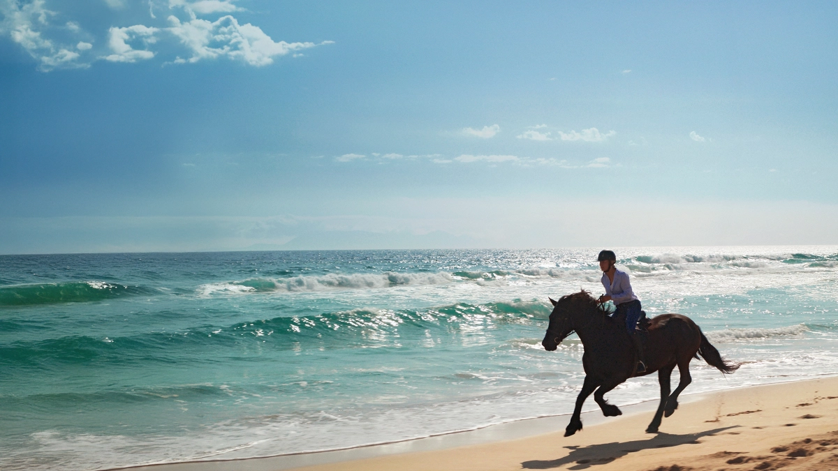 Traveller enjoying a horse ride outdoors