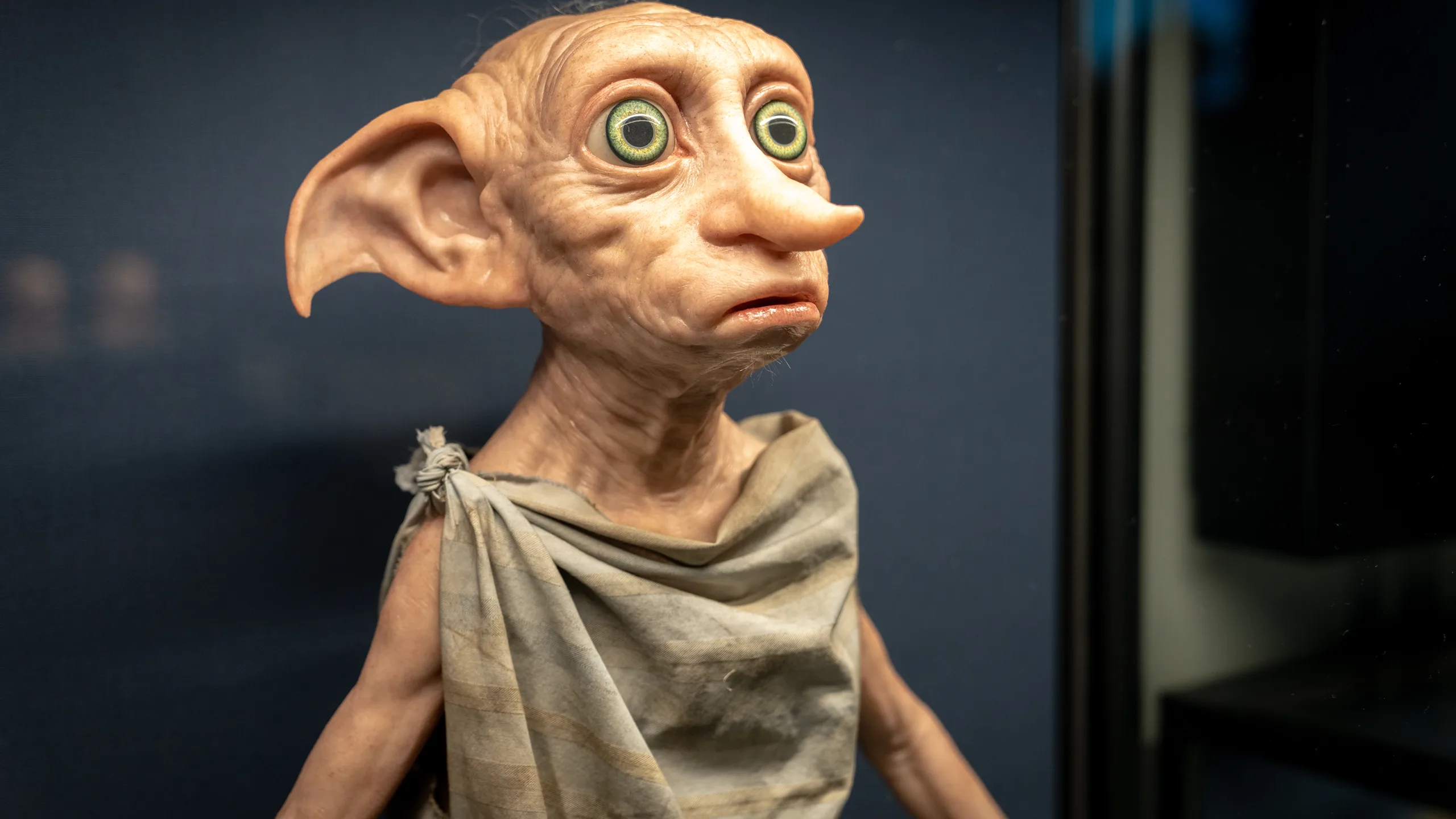 Dobby filmmaking display at Warner Bros. Studio Tour Tokyo