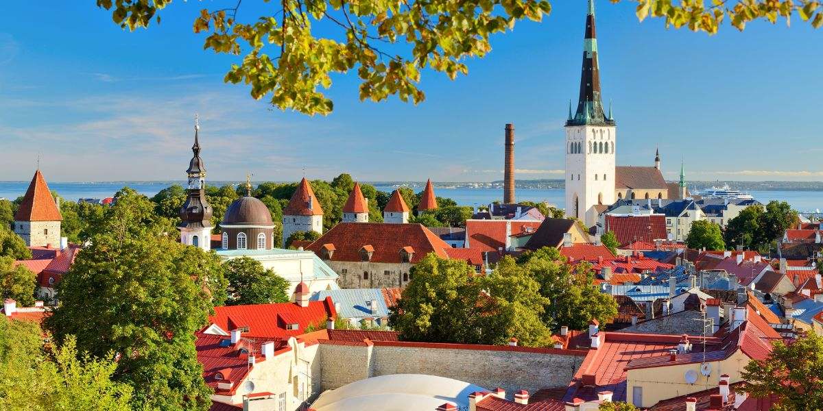 Tallinn old town in summer