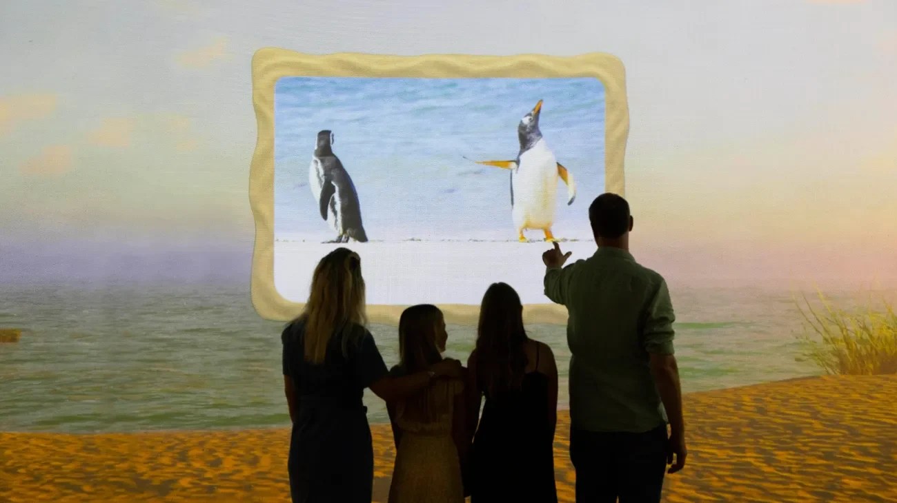 Immersive beach wildlife projection at Frameless