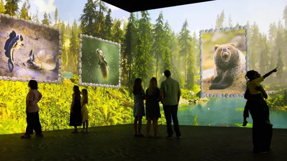Immersive projection of wildlife in a forest at Frameless