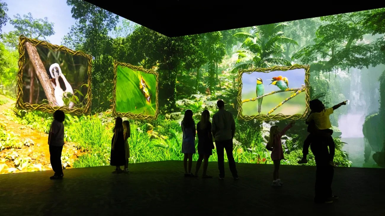 Immersive jungle wildlife projection at Frameless