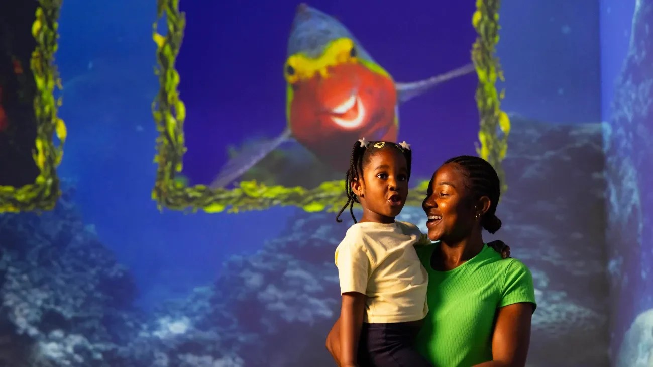 Immersive ocean wildlife projection at Frameless