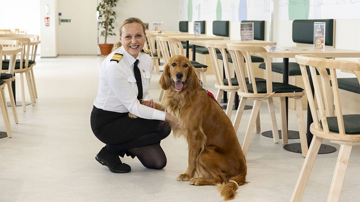 Pet-friendly area aboard Isle of Innisfree