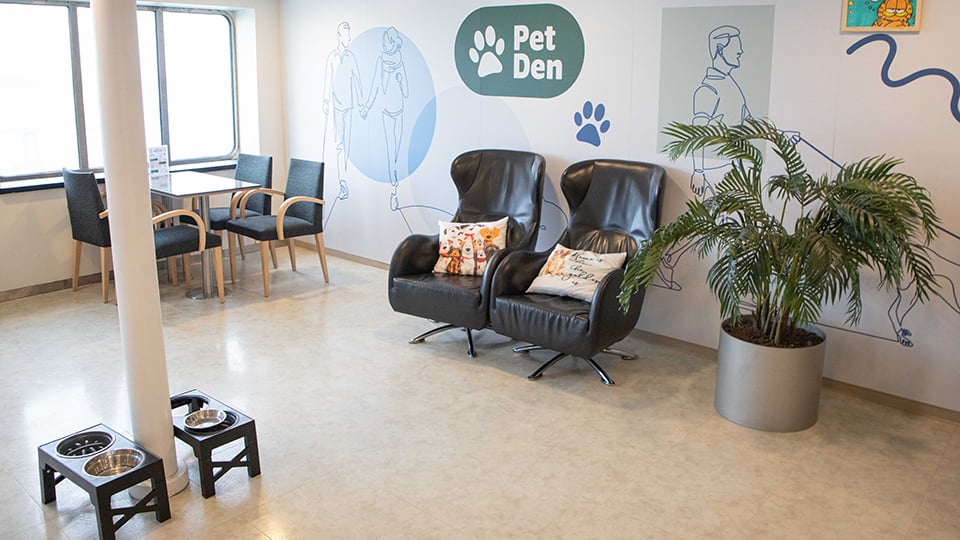 Pet Den area aboard Irish Ferries James Joyce