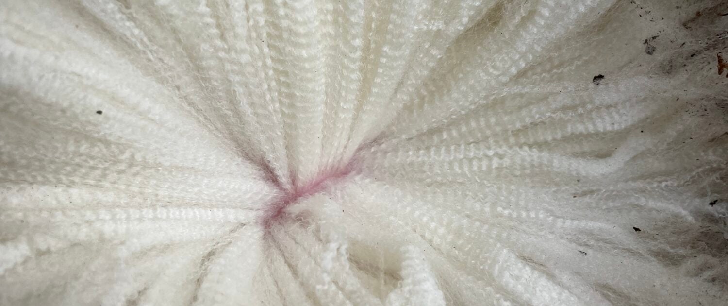 Close view of white Merino wool from Merino Tech