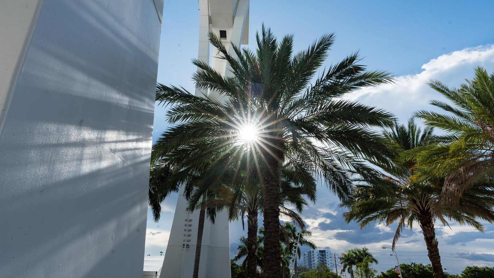 Miami Marlins membership ticket option