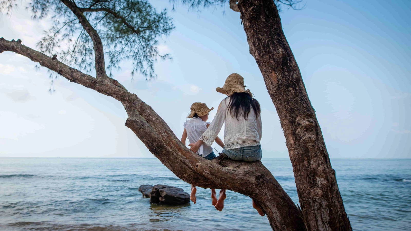 Two people looking out at the ocean from a tree branch