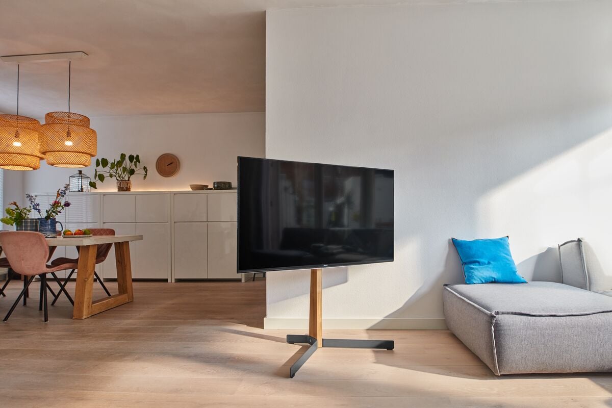 Television supported by a freestanding TV stand