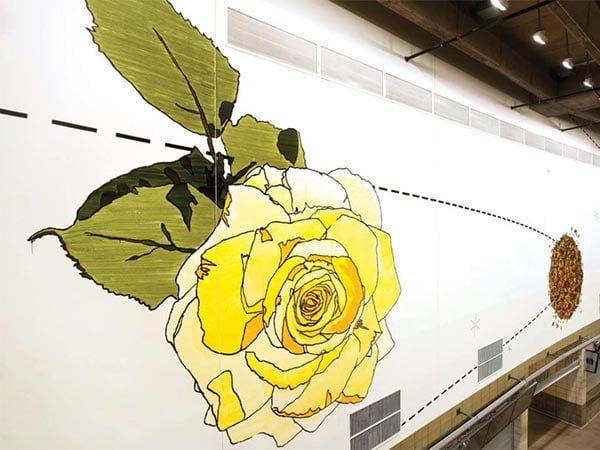 Dave Muller’s Solar Arrangement mural in the stadium art collection