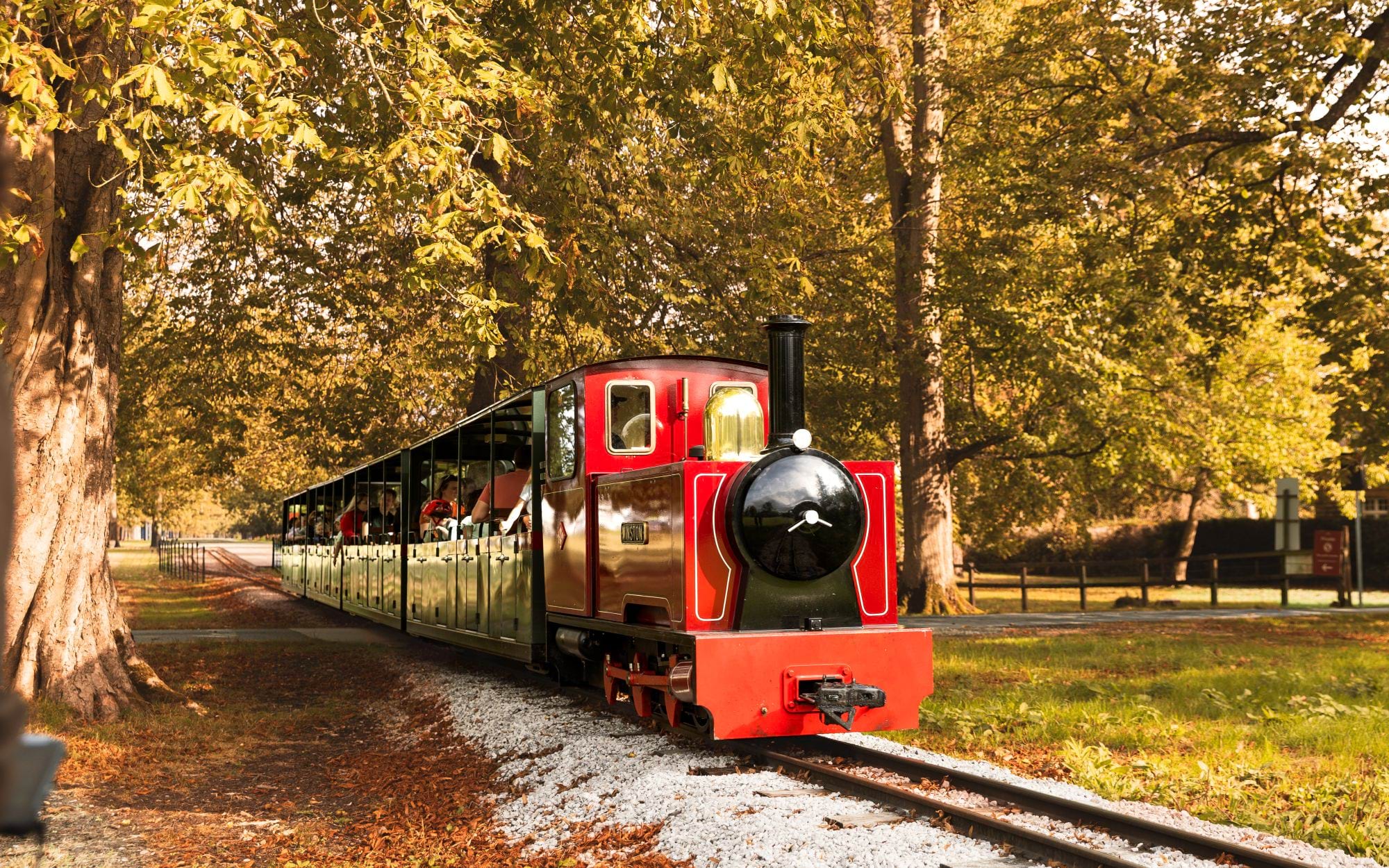 Family train ride through the Blenheim Palace grounds