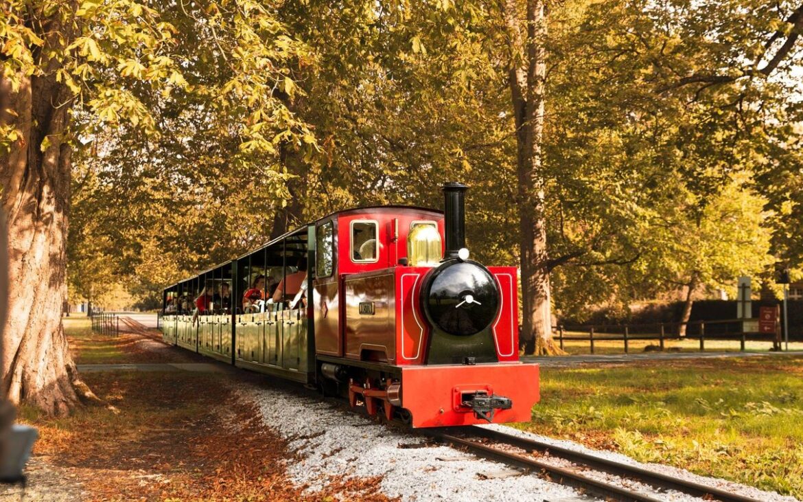 The family train travelling through Blenheim Palace grounds in autumn