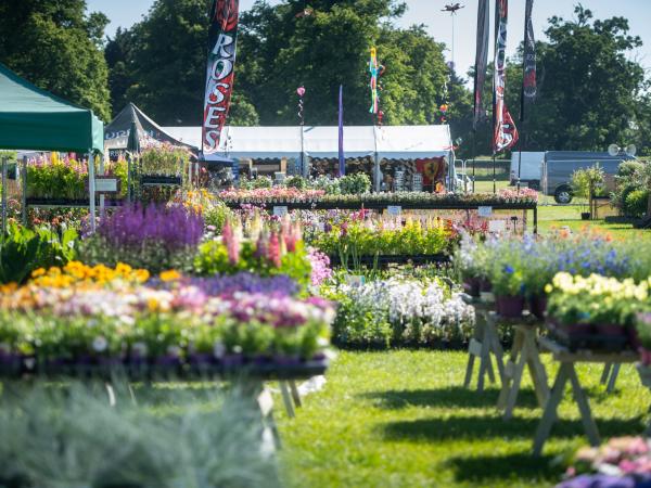 Visitors looking at floral displays at a Blenheim Palace event