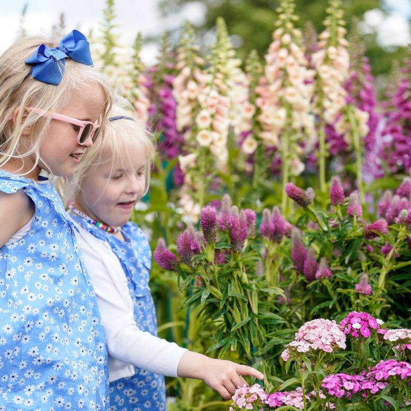 Visitors among flowers at a Blenheim Palace garden event
