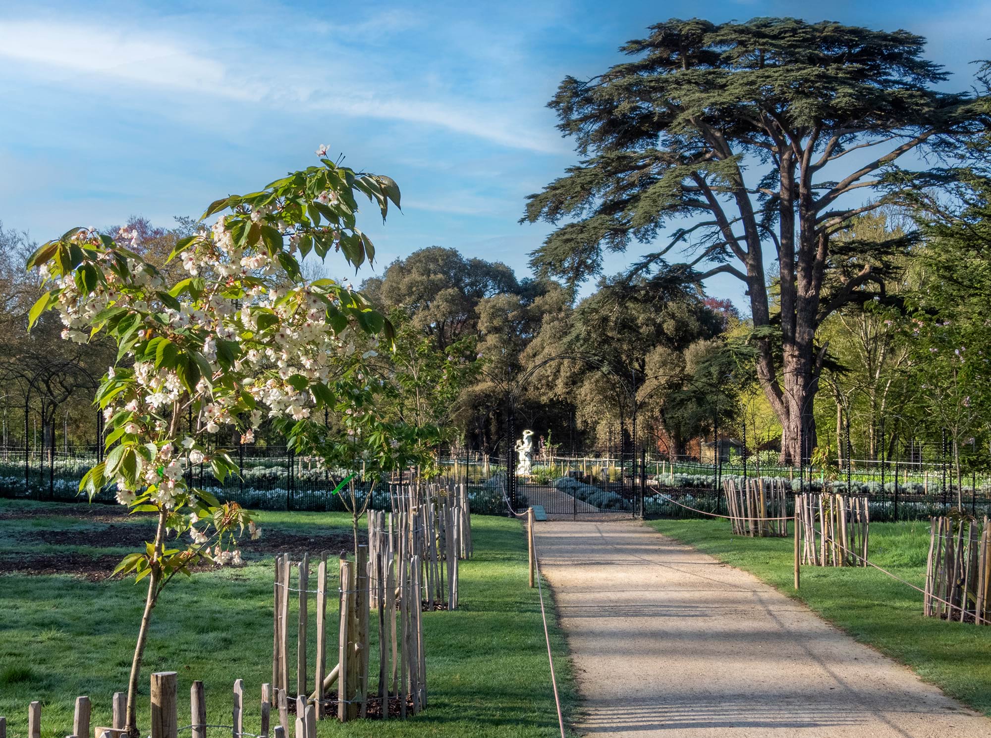 A garden scene at Blenheim Palace