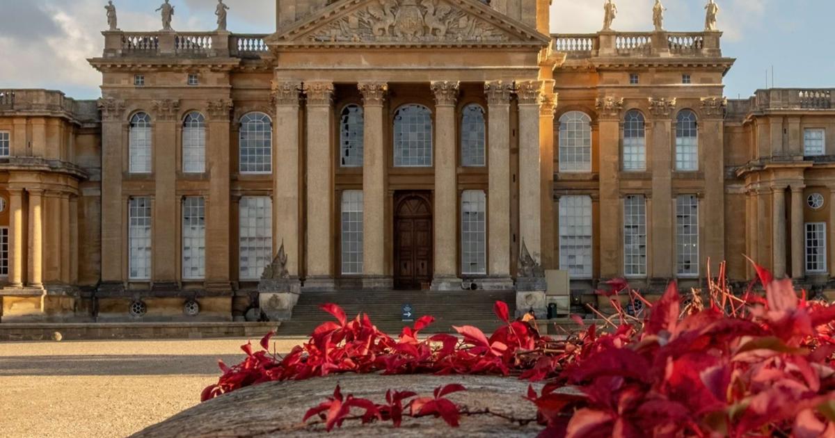 Visitors exploring a garden area at Blenheim Palace