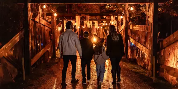 Halloween event scene at Blenheim Palace