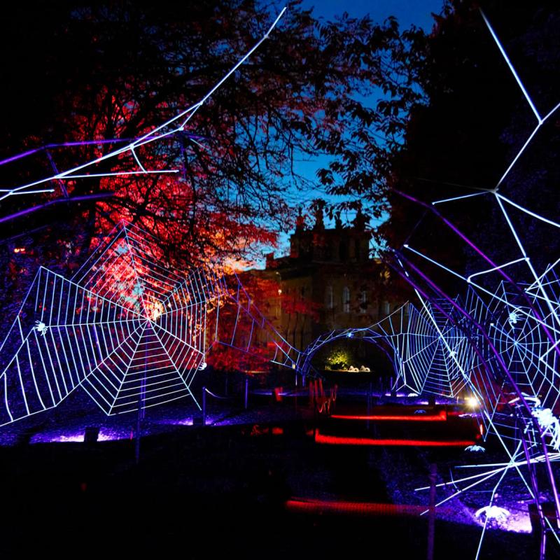 Halloween light installation at Blenheim Palace