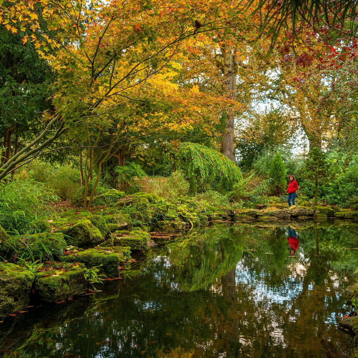 A garden pond framed by autumn trees at Blenheim Palace
