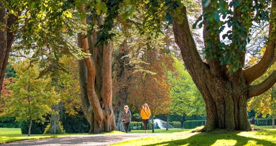 Visitors walking along a tree-lined path at Blenheim Palace