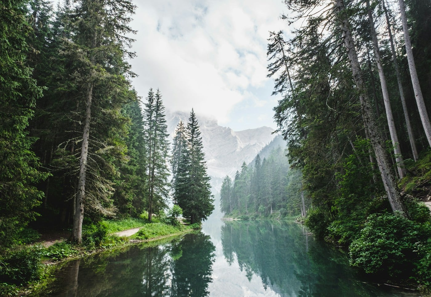Waldsee mit Bergen im Hintergrund