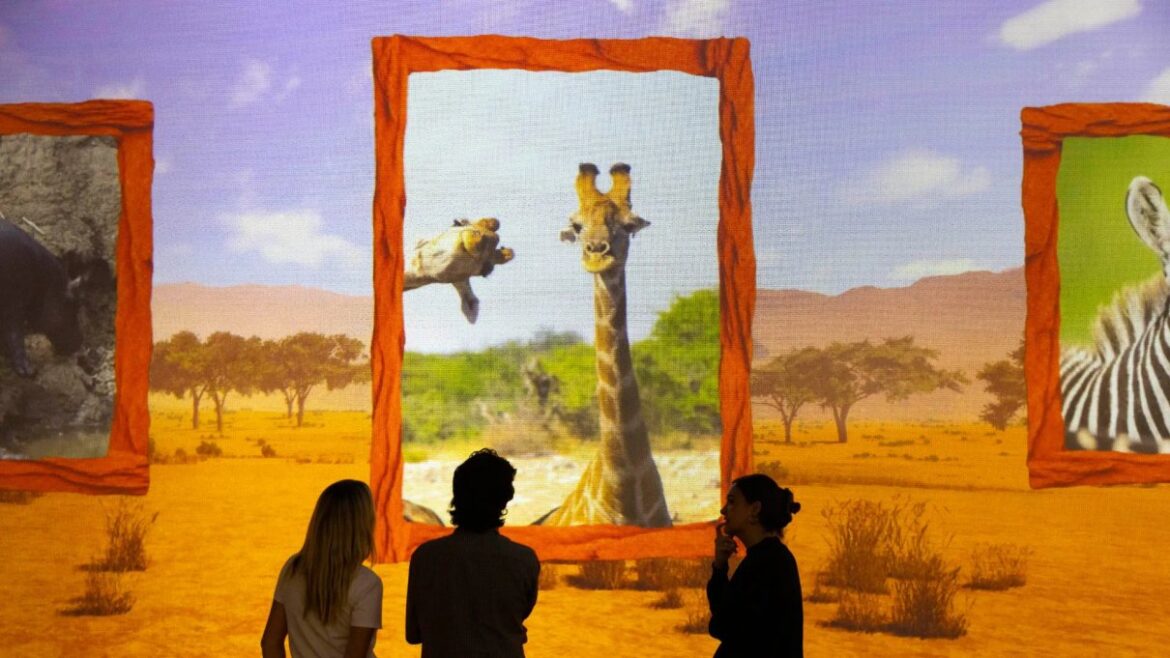 Comedy Wildlife Awards imagery promoted for an evening at Frameless