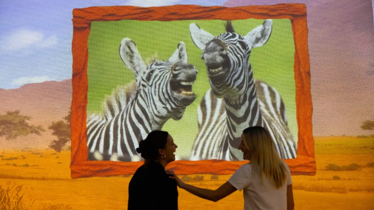 A Comedy Wildlife Awards photograph shown in an immersive gallery