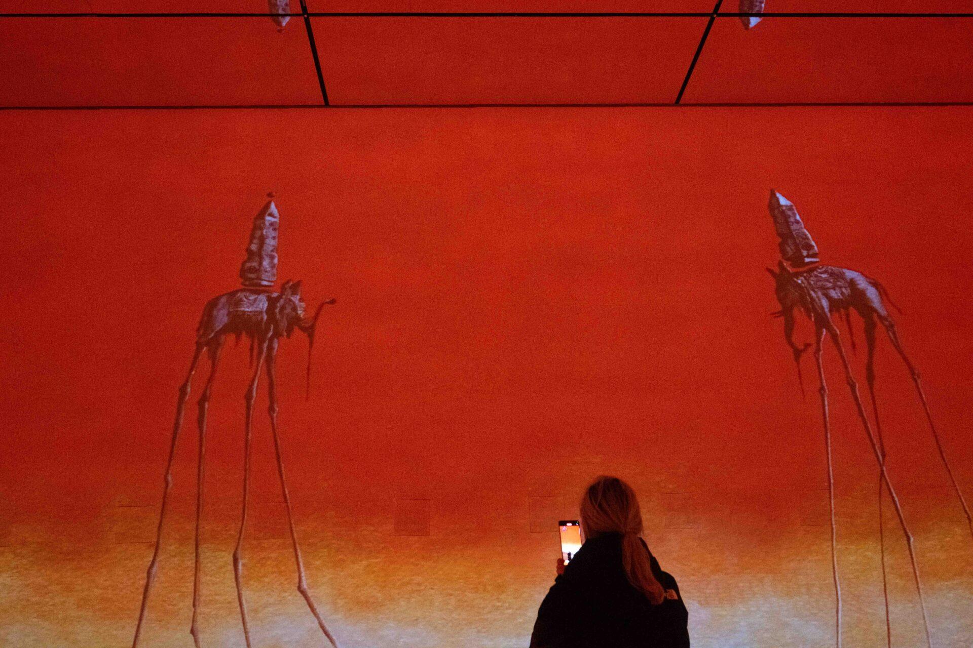 Projected Dali artwork in the Beyond Reality gallery at Frameless