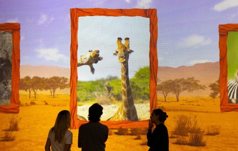 A vivid gallery scene promoted for FRAMELESS Lates