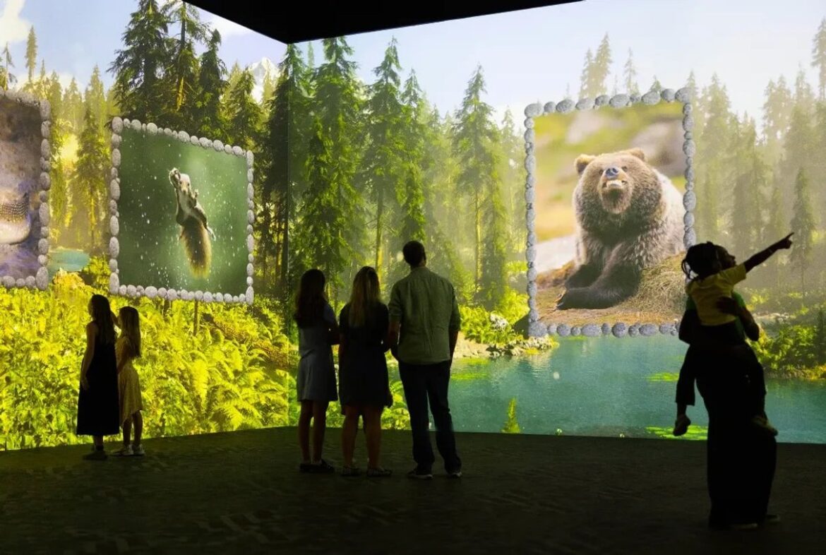 Projected wildlife imagery filling a Frameless gallery
